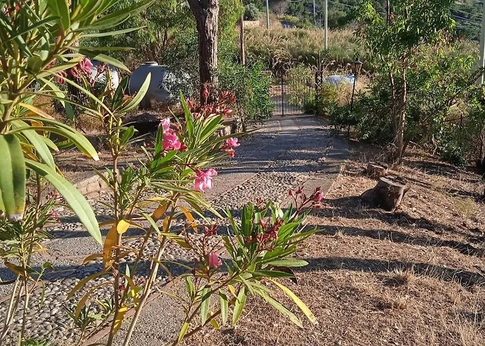 Oasi Di Pace 切法卢